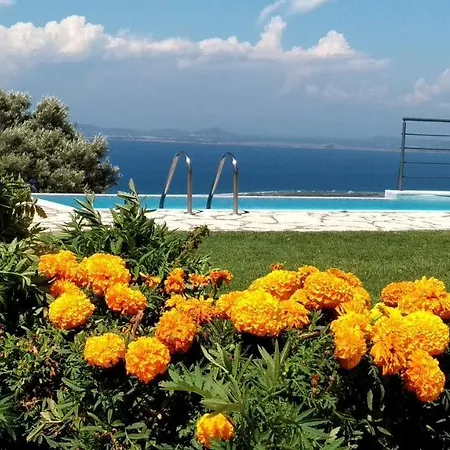 فيلة Stamata *